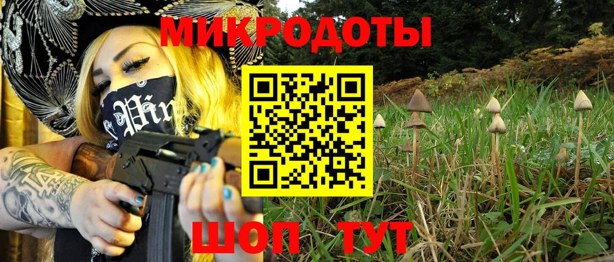 Лесозаводск  Галлюциногенные грибы мухоморы  Вход с VPN 
